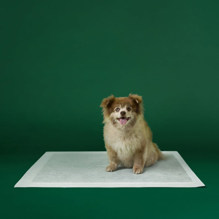 Pee Pads
