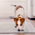 Disposable Dog Pee Pads with AbsorbShield+ Technology