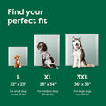 Disposable Dog Pee Pads with AbsorbShield+ Technology